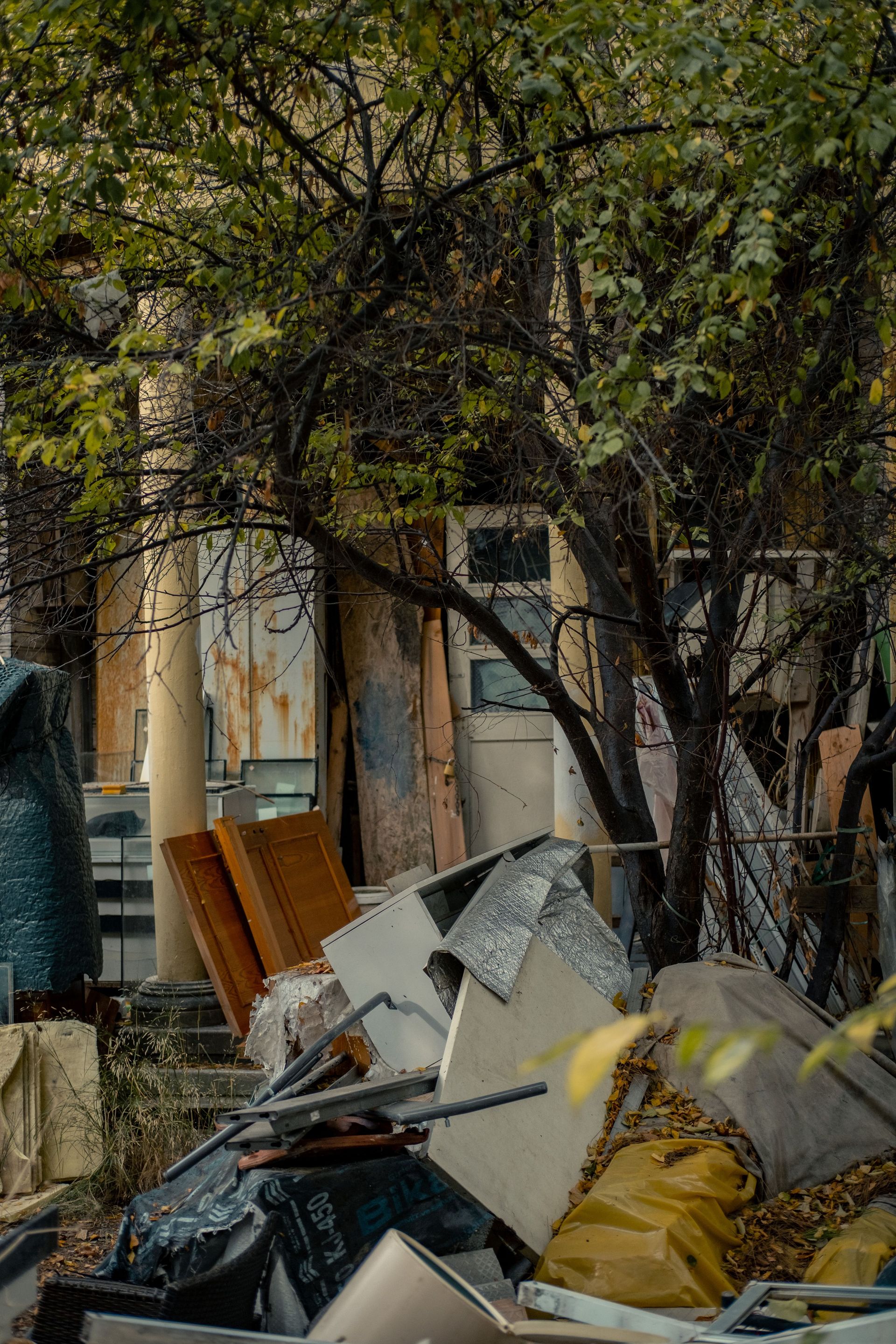 Overgrown vegetation in an abandoned urban area with scattered debris